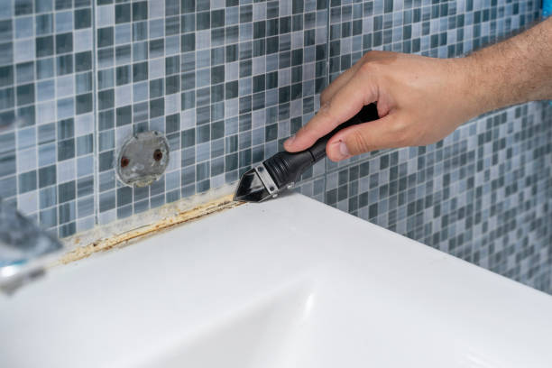 Best Kitchen Mold Remediation in Falfurrias, TX