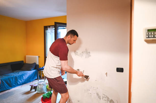 Best Crawl Space Mold Remediation in Falfurrias, TX